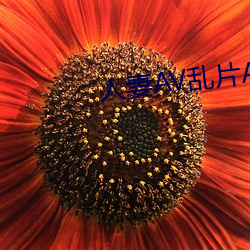 人妻AV乱片AV出轨AV