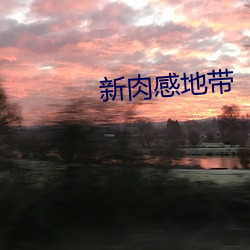 新肉感地带