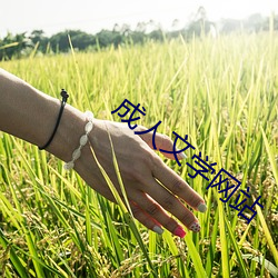 成人文学网站