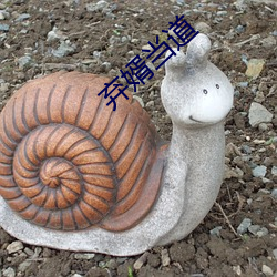 金年会(中国)官方网站