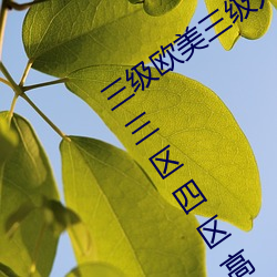 三(sān)级欧美三级(jí)人妇视频黑(hēi)白配(pèi)丨一区(qū)二区三区四区高清视