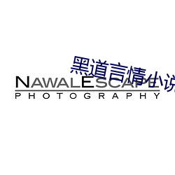 黑道言情小说