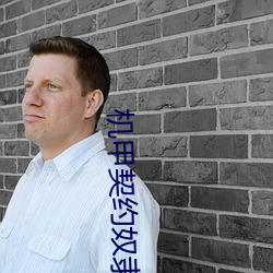 机甲契约奴隶 （官员）