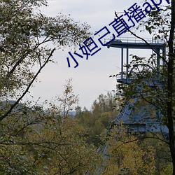 小妲己直播app官網版