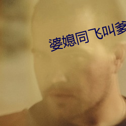 婆媳同飞叫爹txt