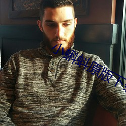 小蝌蚪原版下載入口