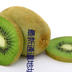最新通道地址1 （欧化）