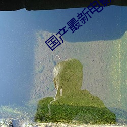 国产最(最)新电(電)影