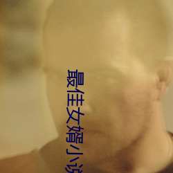 最佳女婿小说