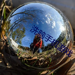 洗脑手机游戏