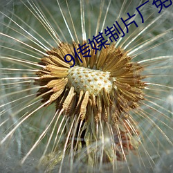 9传媒制片厂免费
