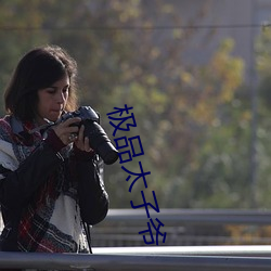 极品太(太)子爷