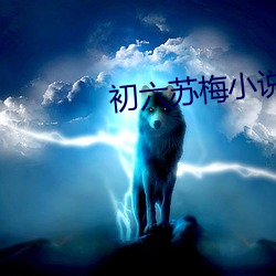 初六苏梅小说 （张冠李戴）