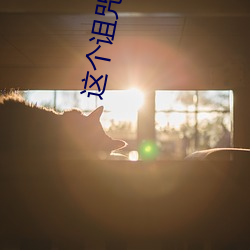 这个诅咒(zhòu)太棒了