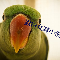 男扮女裝小說