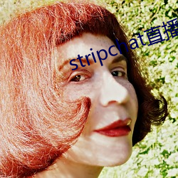 stripchat直播录播资源