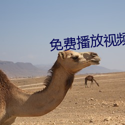 免费播放视频 （四海鼎沸）