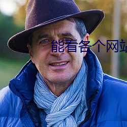 能看各個網站小說app