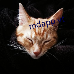 mdapp vt Ц