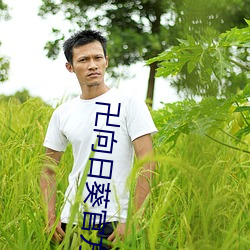 卍向日葵官方入網卍