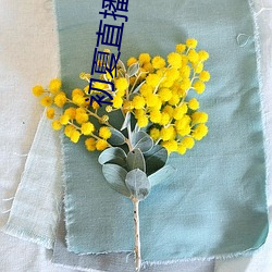 初夏(夏)直(直)播3335at∨