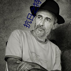 抗日之特(特)战(戰)兵(兵)王