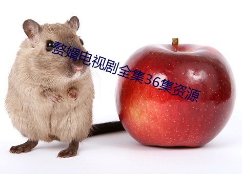 贅婿電視劇全集36集資源
