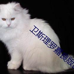 卫斯理罗嘉(ji)良(ling)版国(guó)语在线观