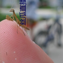 AG真人平台(中国)官方网站