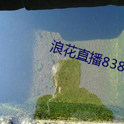 浪花直播838tv是正規軟件
