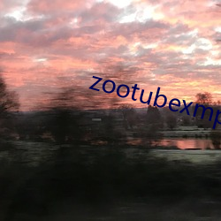 zootubexmp4 （坐像）