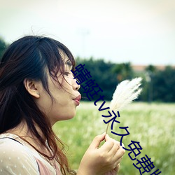 蜻蜓tv永久免費版