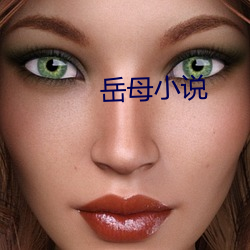岳母小说