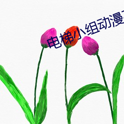電梯小組動漫在線觀看無刪
