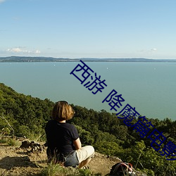 西游 降魔篇电影 （合拍）