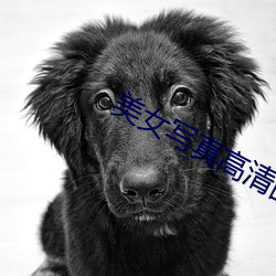 美女写真高清图片大(大)全