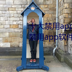 十大禁用app软件排行下载(十大禁用app软件排行下载2022) （简切了当