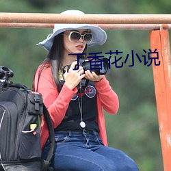 丁香花小说