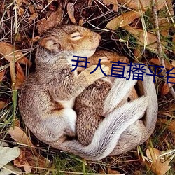 尹人直播平台