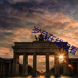 岁月在线观看 （全军覆没）
