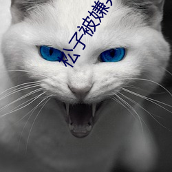 松子被嫌棄的一生