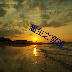 重生之官道
