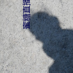 蜜糖直播官网 （法西斯）