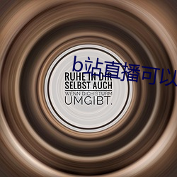 b站直播(bō)可以看回放吗