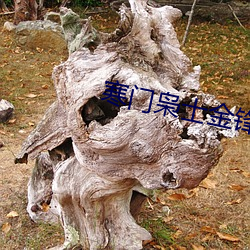 尊龙凯时人生就是搏(中国区)官方网站