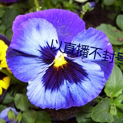 以(yǐ)直(zhí)播不封号