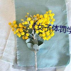 《女子体罚学院》txt （龙胡之痛）