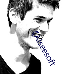 《Aiseesoft
