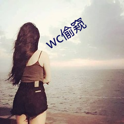 wc偷窥 （湖光山色）