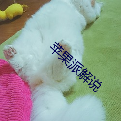 苹果派解说